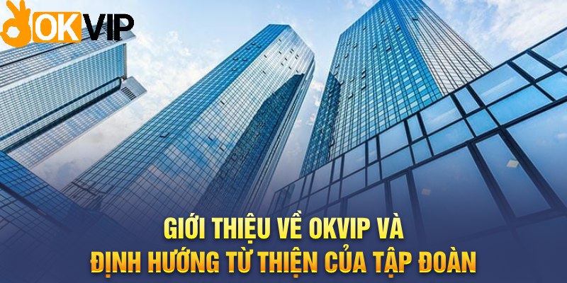 Giới thiệu về OKVIP và định hướng từ thiện của tập đoàn 