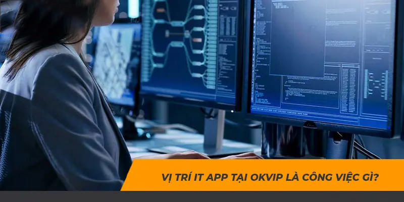 Vị trí IT app tại OKVIP