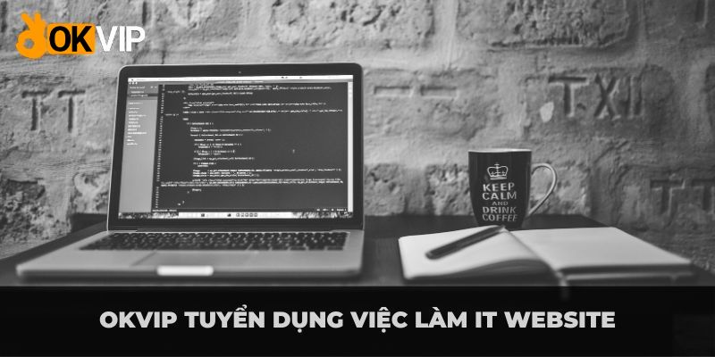 OKVIP tuyển dụng IT và yêu cầu công việc