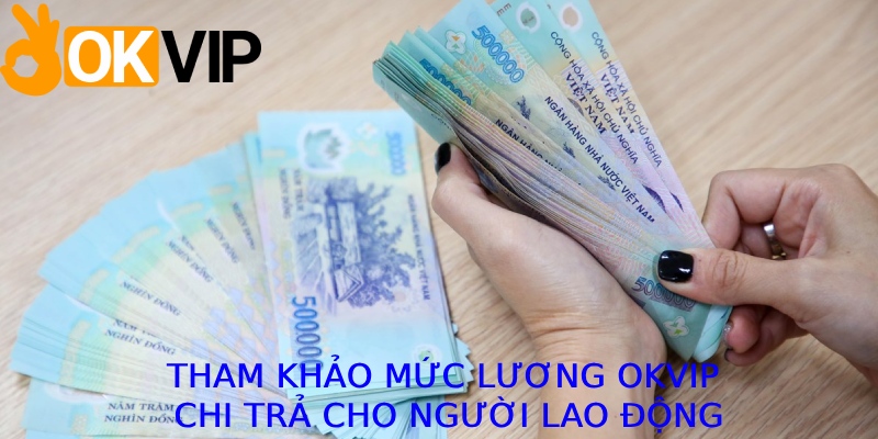 Tham khảo mức lương OKVIP chi trả cho người lao động