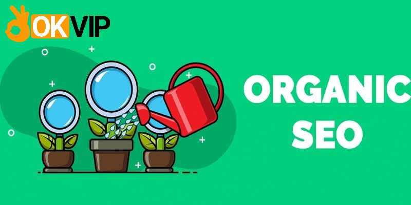 Organic SEO luôn chiếm một phần ảnh hưởng lớn